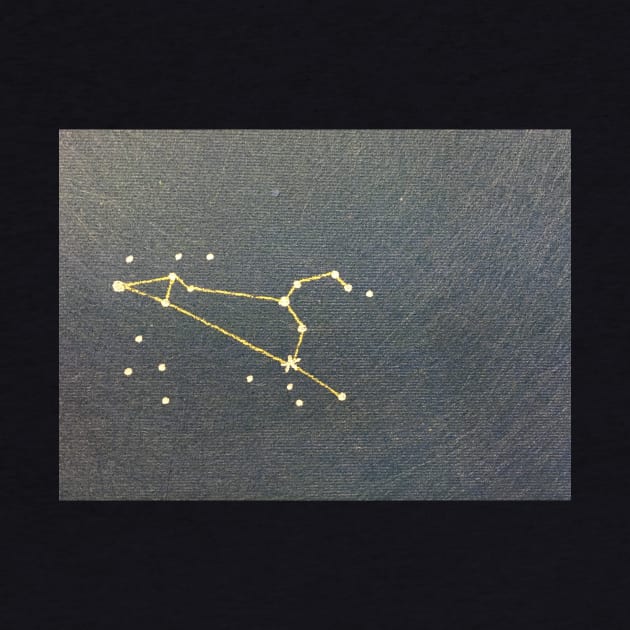 The Constellation of Leo by artdesrapides